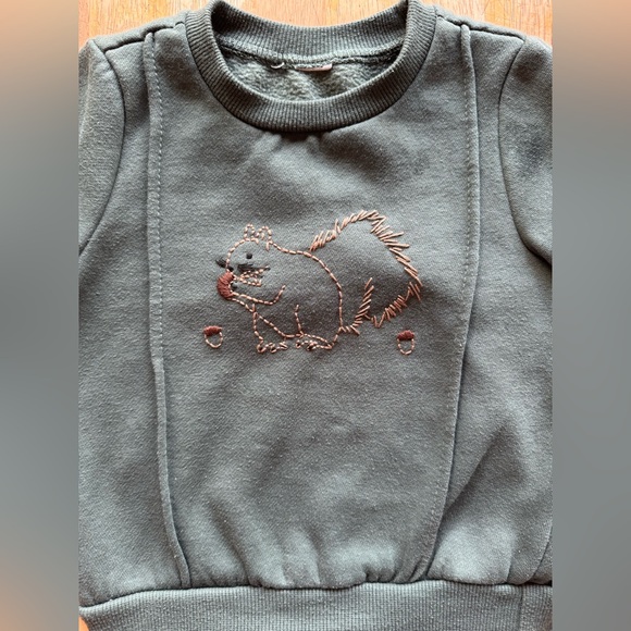 Fall Embroidered Squirrel Crewneck Sweatshirt 2/3 Toddler - Picture 4 of 4